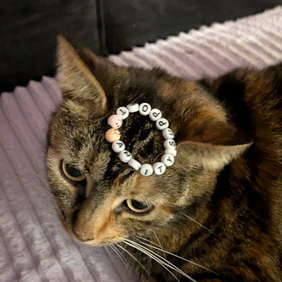 Cat wearing a decorative headband on a textured surface