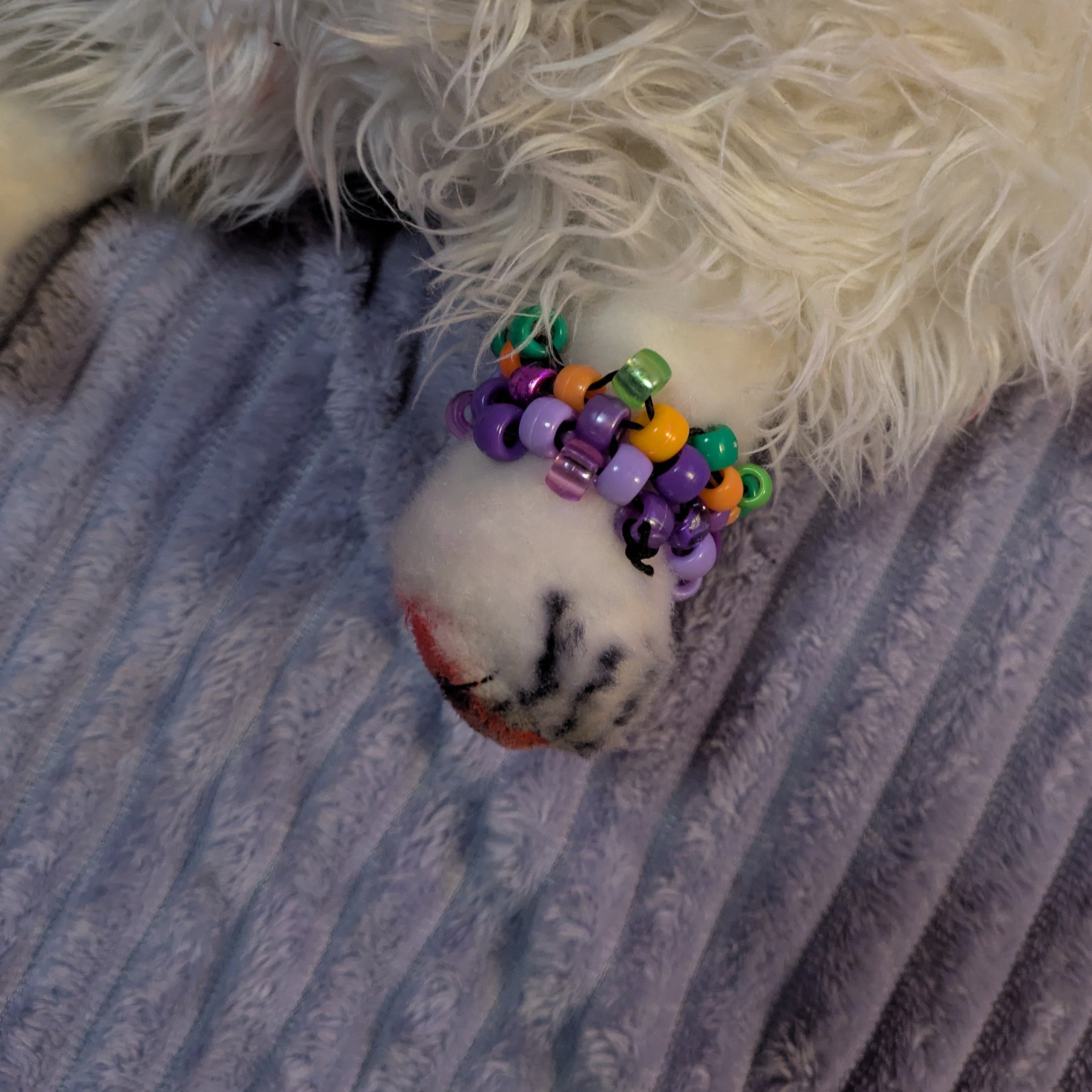 White fluffy dog with colorful beaded toy on a striped fabric background