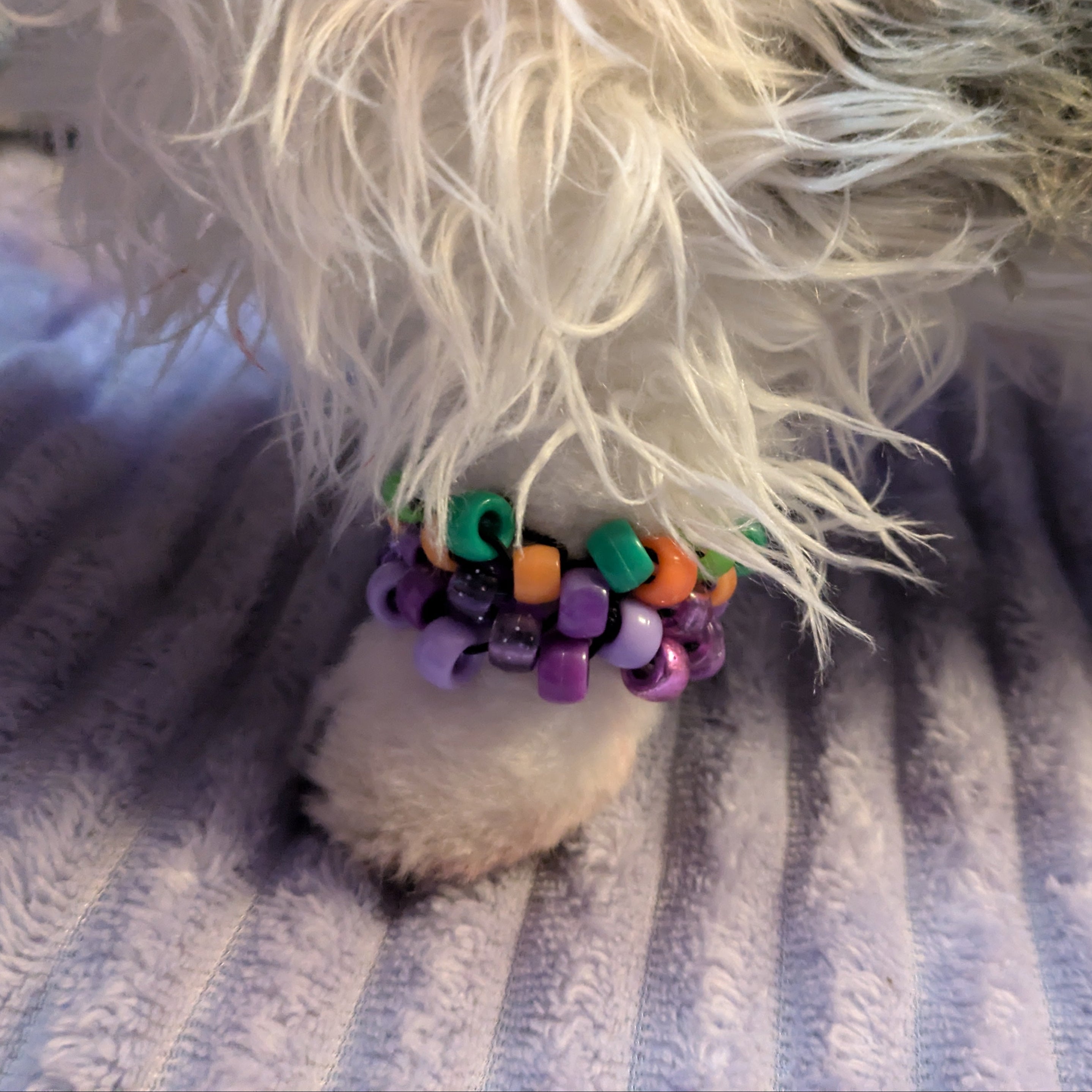Small dog wearing a colorful bandana on a striped fabric background