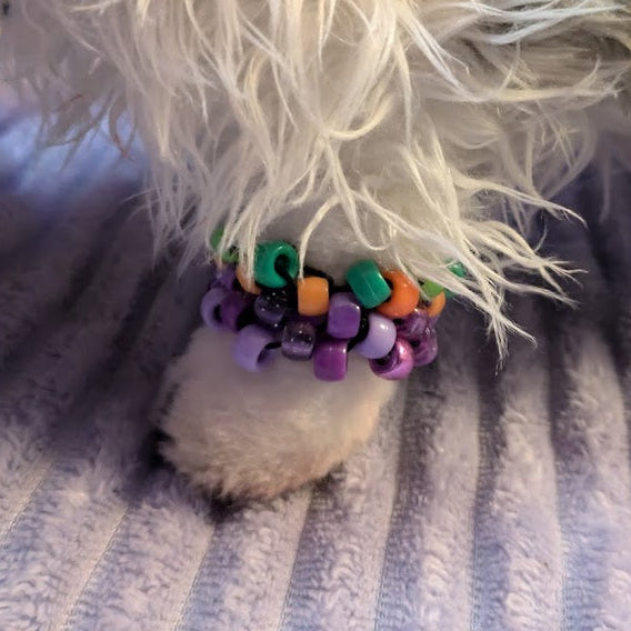 Small dog wearing a colorful beads charm